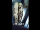 大根に大根をかけてみた・д・