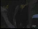 スタートレックDS9 第166話 「闇からの指令」 2/2