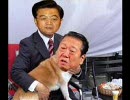 反日工作員ファビョン動画。中国の犬、お笑い民主党