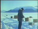 ネバー・クライ・ウルフ　その２