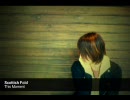 Scottish Fold - This Moment