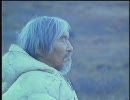 ネバー・クライ・ウルフ　その９