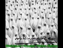 Muslimgauze-Hindustani Wireless Blackout