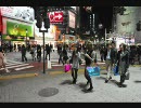 ニコラップ【東京】Seiseki-Crew