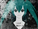 【初音ミク】０と１【勝手にPV】