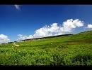 中村一義 - いつだってそうさ